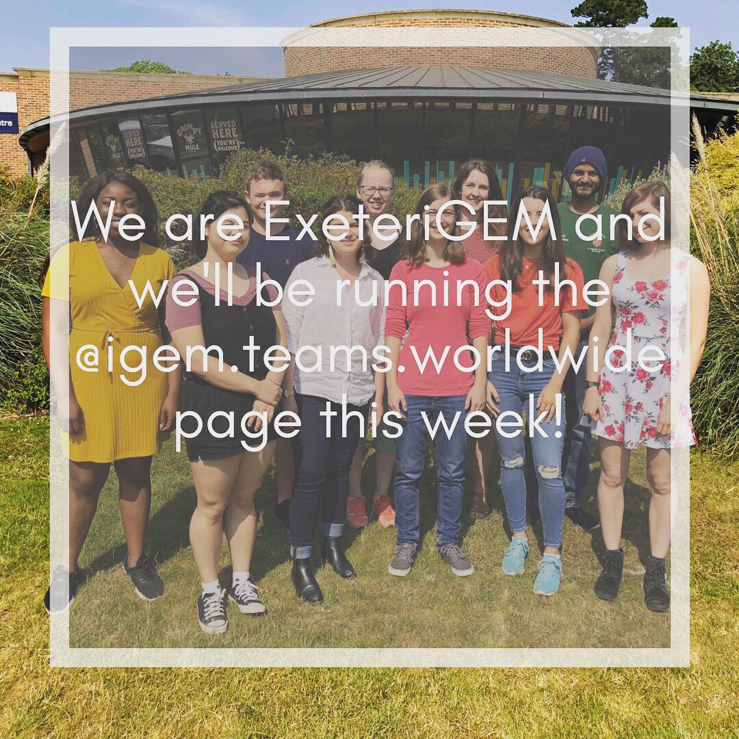 exeter_igem's tweet photo. Be sure to check out our posts on the iGEM.teams.worldwide page on instagram all this week! #iGEM2018 #iGEMExeter #iGEM https://t.co/w8Oa7cV5L1