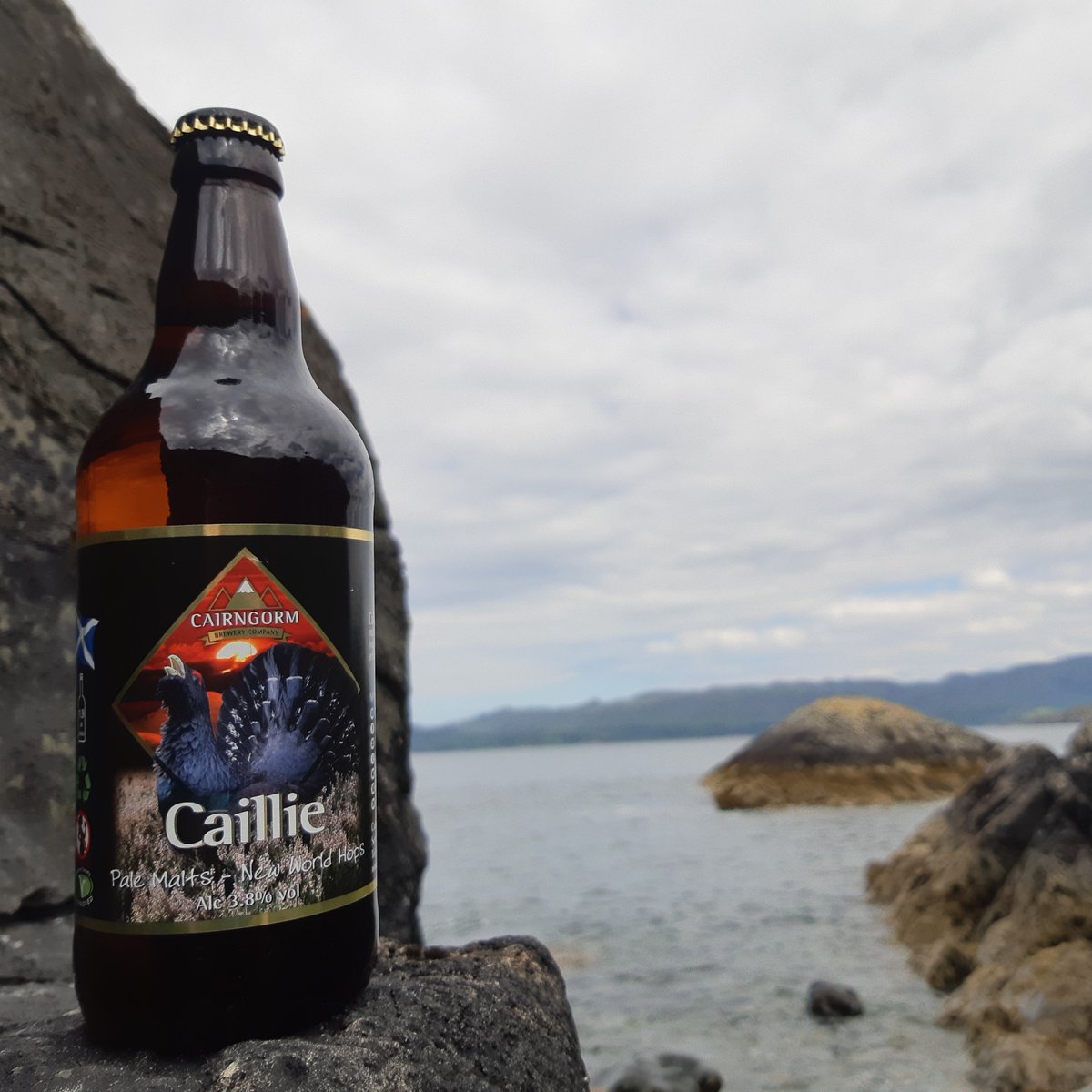cairngormbrew's tweet photo. Our light Session Pale Ale ia a favourite for the Summer, #Caillie has a subtle malt background and a long lasting citrus hop bitterness. https://t.co/JOI2OQDdp0