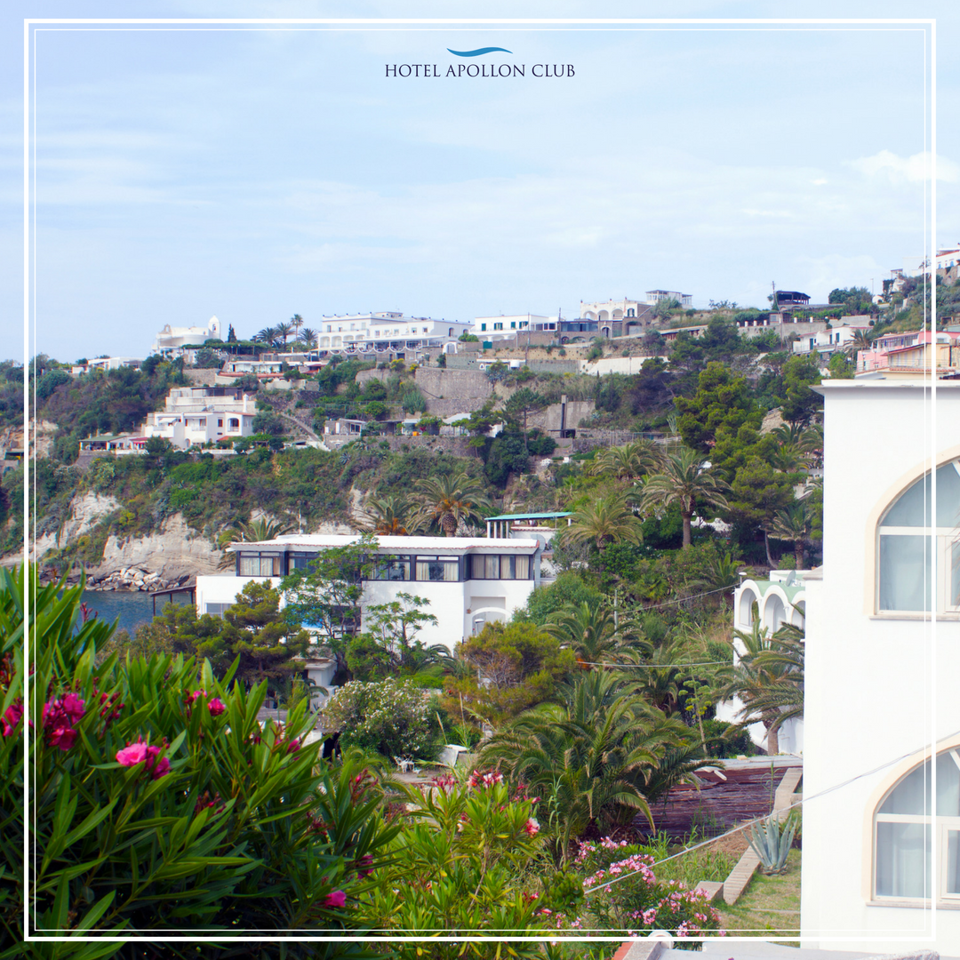 Hotel Apollon Club tweet media