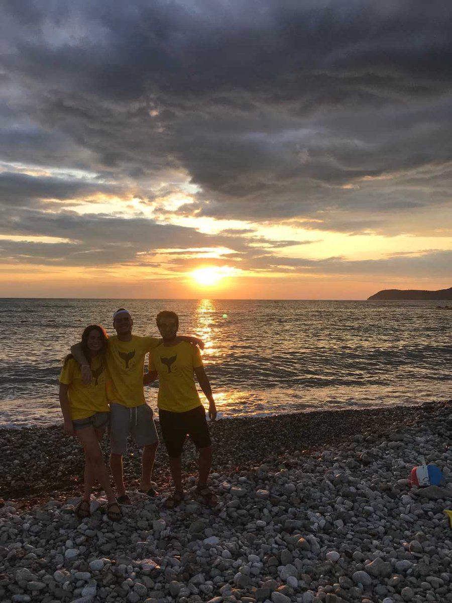 Who is ready to make a stand? we are! join us for a week of public awareness and beach cleans! follow and retweet to show your support! #montenegrodolphinproject #makeastand #beachclean #showyoursupport #dolphinresearch #savetheocean #cetaceans