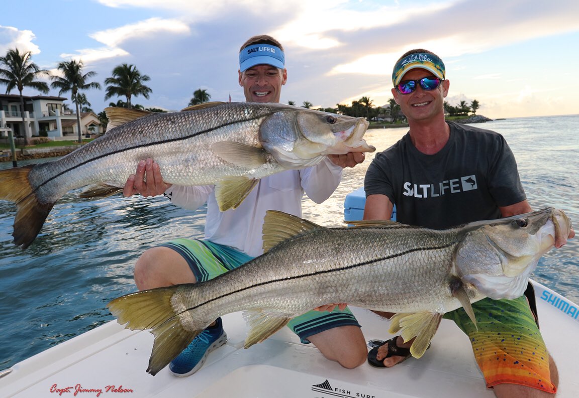 Jimmy Nelson tweet media