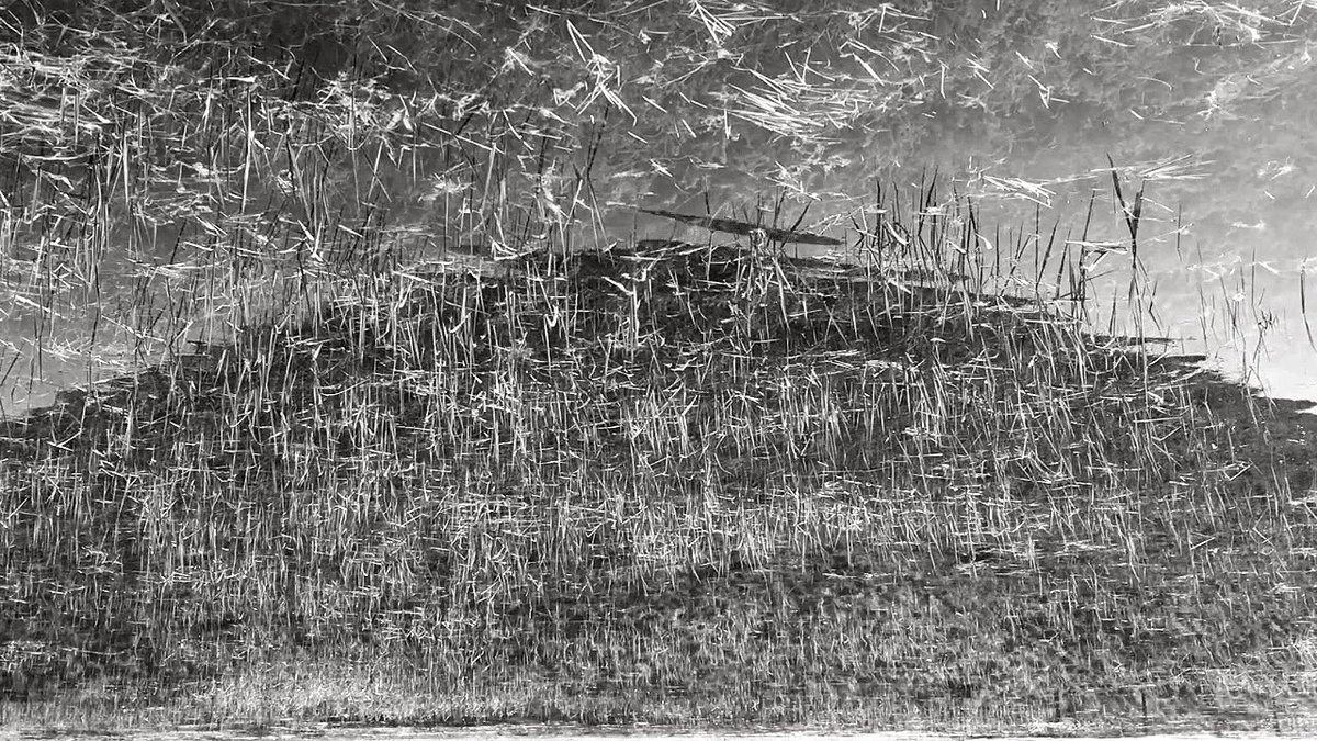 Rob Irving (@drrobirving) on Twitter photo Delighted that my video Silbury Hill has been selected for the prestigious <a href="/wellsartcontemp/">wellsartcontemporary</a> awards. It will be shown at The Bishopās Palace, Wells, from the 6th-21st October 2018. Delighted that my video Silbury Hill has been selected for the prestigious <a href="/wellsartcontemp/">wellsartcontemporary</a> awards. It will be shown at The Bishopās Palace, Wells, from the 6th-21st October 2018.