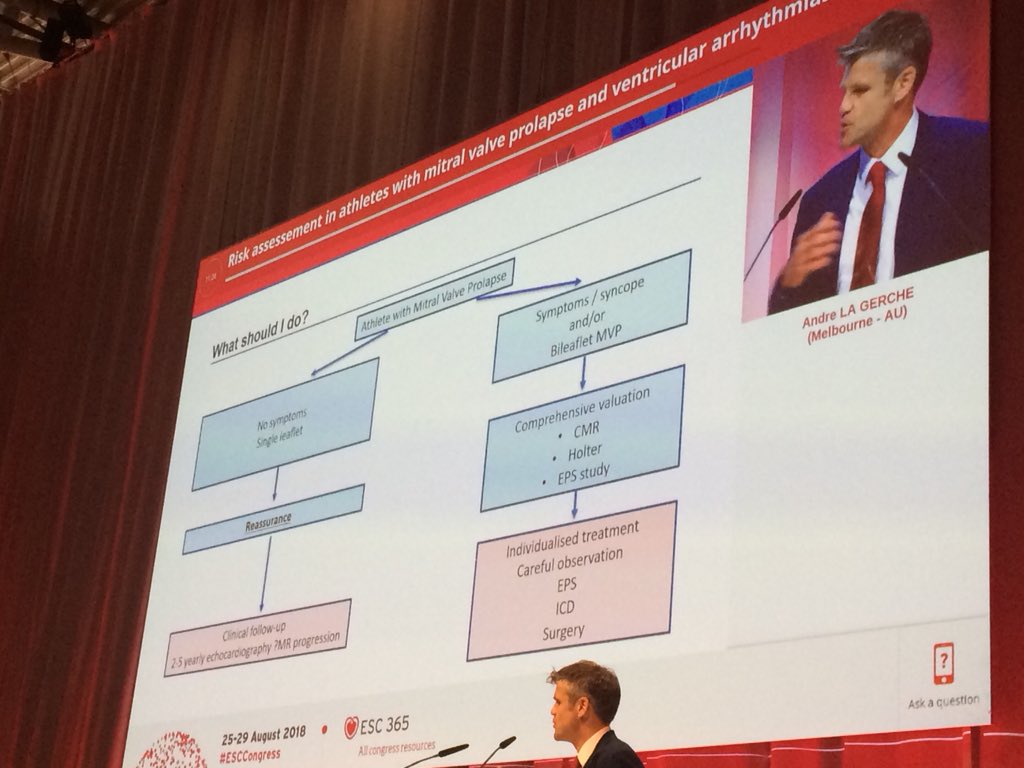 Luis Serratosa tweet media