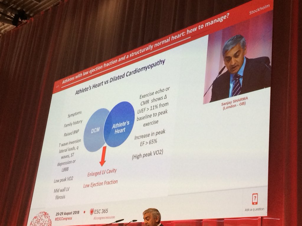 Luis Serratosa (@lserratosa) on Twitter photo Again packed room to listen to our #sportscardiology experts A La Guerche, <a href="/StefanoCaselli/">Stefano Caselli</a> <a href="/SSharmacardio/">Sanjay Sharma</a> & V Maestrini at #ESCCongress 💪🏻👏🏻👏🏻👏🏻 <a href="/SilCastelletti/">Silvia Castelletti</a> <a href="/MichaelPapadak2/">Prof Michael Papadakis</a> <a href="/DOCTORASANZM/">Maria Sanz</a> <a href="/paolo_emilio/">Paolo Emilio Adami</a> Again packed room to listen to our #sportscardiology experts A La Guerche, <a href="/StefanoCaselli/">Stefano Caselli</a> <a href="/SSharmacardio/">Sanjay Sharma</a> & V Maestrini at #ESCCongress 💪🏻👏🏻👏🏻👏🏻 <a href="/SilCastelletti/">Silvia Castelletti</a> <a href="/MichaelPapadak2/">Prof Michael Papadakis</a> <a href="/DOCTORASANZM/">Maria Sanz</a> <a href="/paolo_emilio/">Paolo Emilio Adami</a>