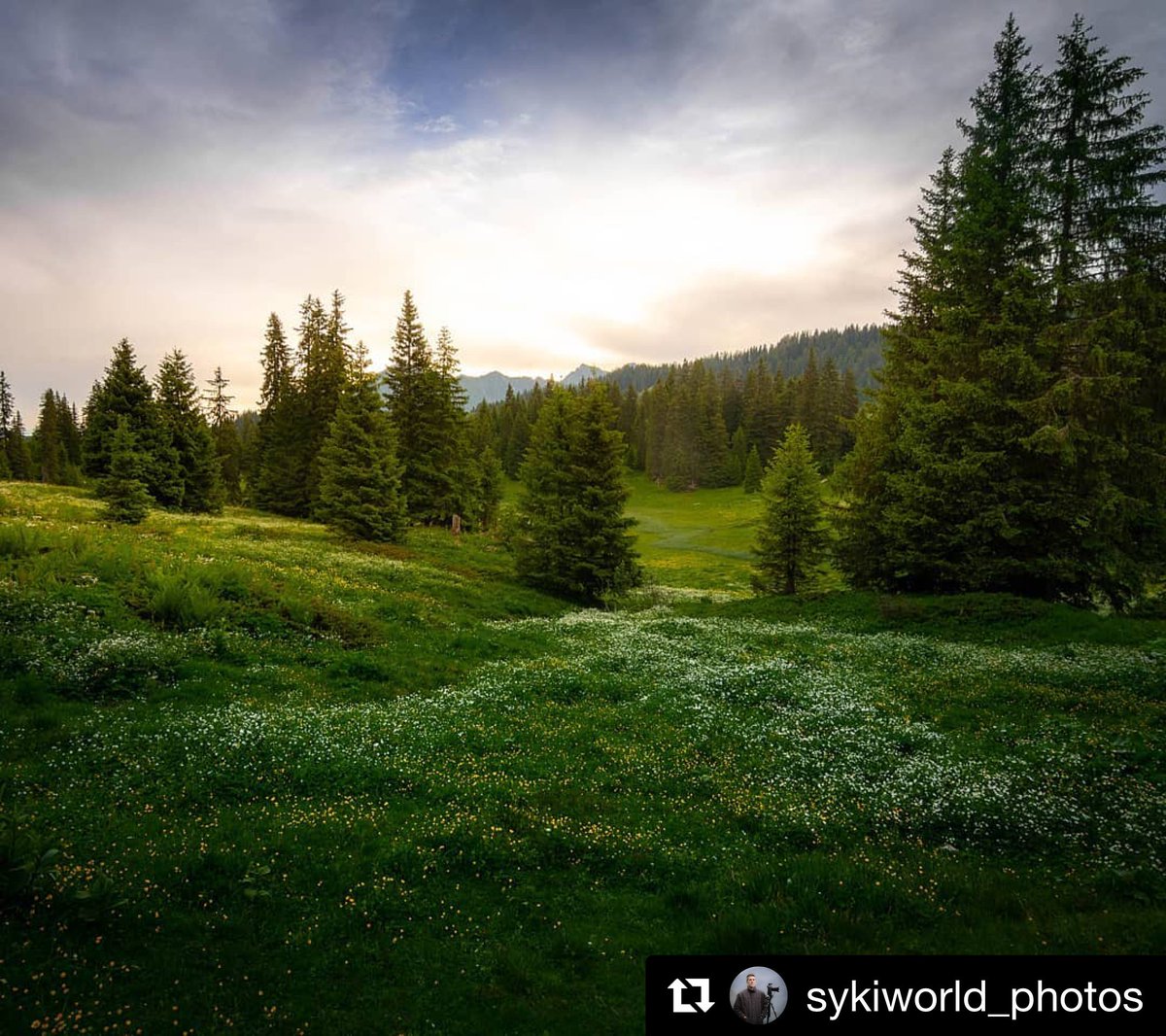 weekngo's tweet photo. * La photo de la semaine *
Nos Alpes sous toutes leurs couleurs...☀️⛅️☁️
Impossible de trancher, alors on a favorisé des nouveaux venus et un gros coup de coeur : merci à @sykiworld_photos, @tac_alex et @happy__eve pour ces magnifiques clichés. #weekngo #tresorsdesalpes https://t.co/cRJkJUL7O0