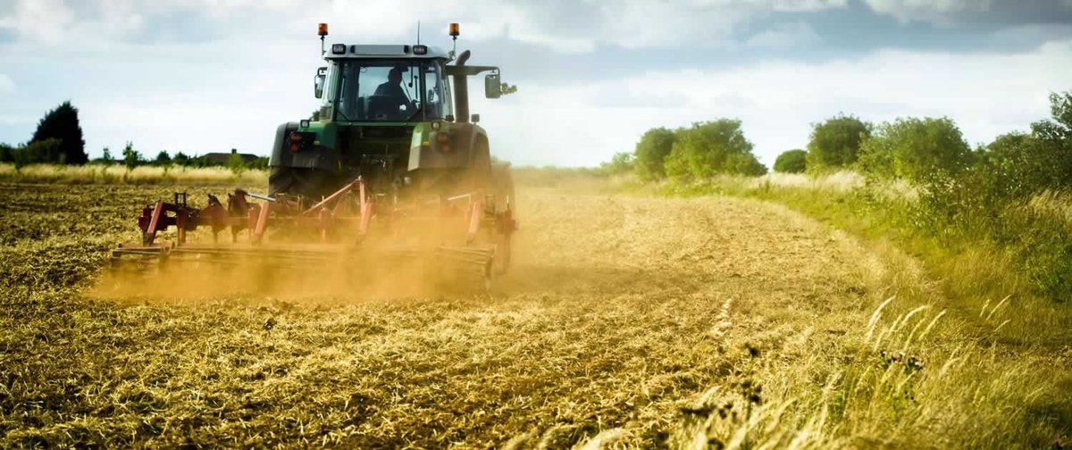 Hammu_Kenya's tweet photo. While you're here, check out @Cropnuts soil fertility solutions for farmers → https://t.co/V8sqUD4NzS *whispers 😎 we had them on issue 7 #Hammu https://t.co/Q9AEowsAV3