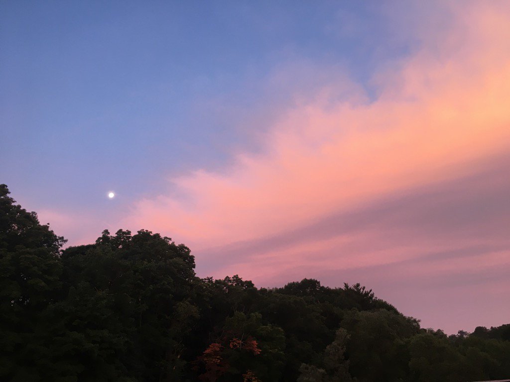 AmandaMartinezM's tweet image. Buenos días :) #pinksunrise