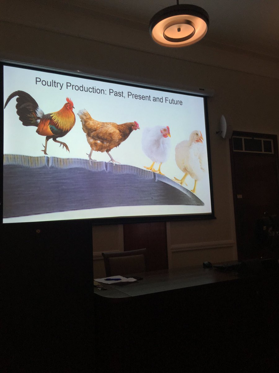 Chicken_project's tweet photo. Kicking off the morning session with our industry focussed results. @britishpoultry https://t.co/Wf8UNI99uk