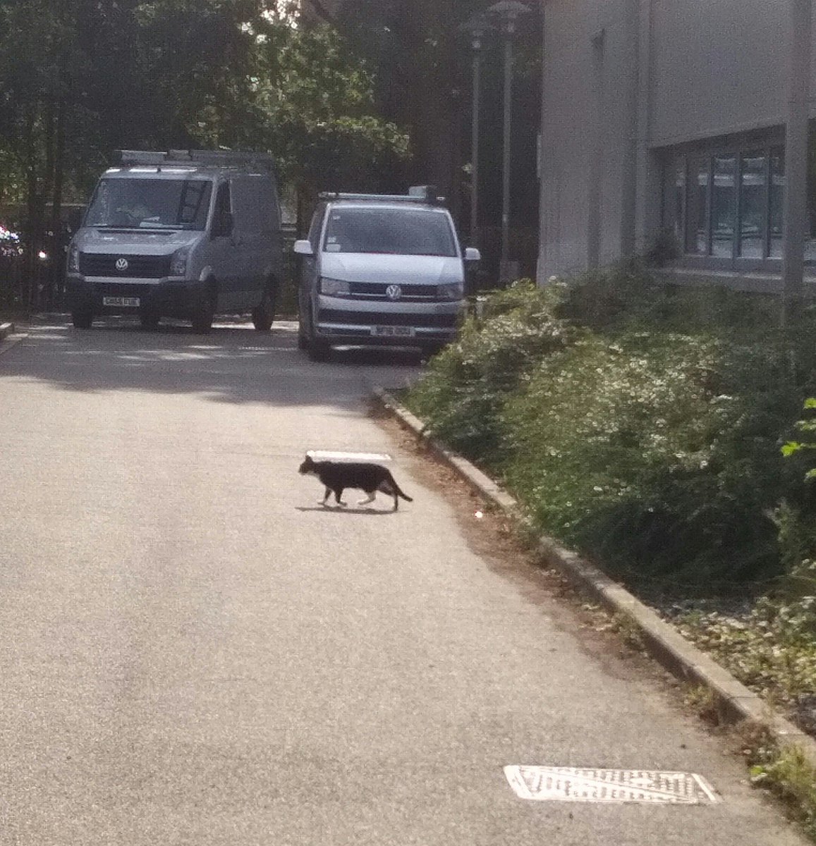 aeroarchive's tweet photo. @RolfatWarwick looks like a friend is waiting for Rolf's return at the Warwick Uni Tennis Centre , spotted this morning https://t.co/2qMNASqBcE