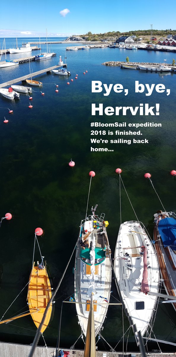 Jens_D_Mueller's tweet photo. Strong #cyanoobacteria bloom. 3 months field campaign. 1000 water samples. Manually winches 8km of vertical profiles.
We're done.
#BloomSail. Over and out. https://t.co/jdyqIVy7jq