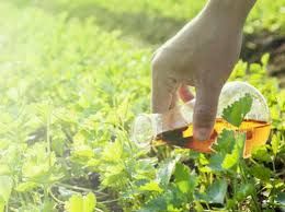 Health_Axiom's tweet photo. Agricultural surfactants market is witnessing remarkable growth owing to surge in adoption of precision farming &amp; protected agriculture practices #Agricultural #surfactants #chemical #Farm
Read More:  https://t.co/BOcqr96RSv https://t.co/L6471n459y