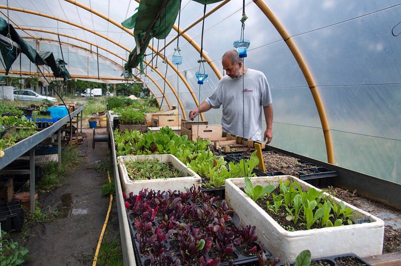 ¿Sabías que detrás de <a href="/UCMccinf/">Facultad Ciencias Información</a> y del campo de rugby tenemos la HuertAula Comunitaria Cantarranas? Este curso aprende qué es la agroecología, la soberanía alimentaria o la educación ecosocial y contribuye con nosotros a cuidar bien del planeta. 🌎