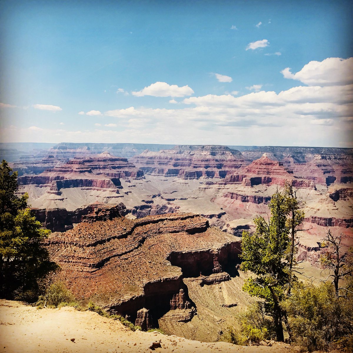 eroetter's tweet photo. We are all here for some special reason. Stop being a prisoner of your past. Become the architect of your future. I hope everyone has a Terrific Tuesday 😊 #positivevibes #smile #beanarchitect #bekind https://t.co/fukqLWmb5a