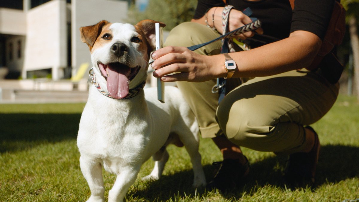 AVANCE 🔎🐶 La investigación de una posible infidelidad pone en jaque a Max y Alberto, este martes en <a href="/MaxSabuesos_tve/">Max Sabuesos</a> eltelevisero.com/2018/08/la-inv… #Sabuesos5