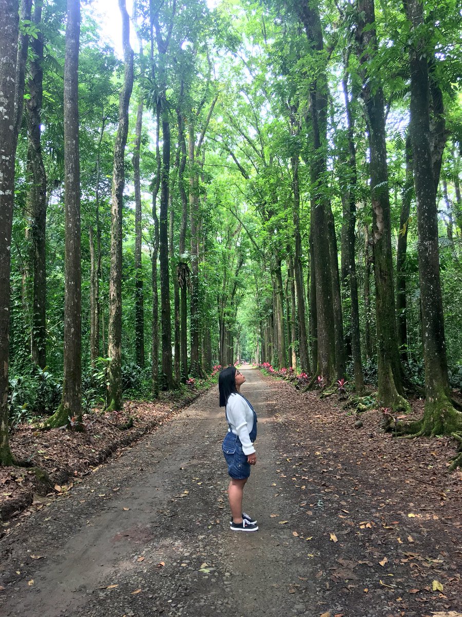 MacalosSyra's tweet photo. Anything has green.🌿 https://t.co/erMukykNzl