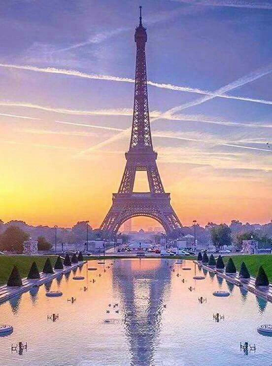 DaviddearDavid's tweet photo. Tour Eiffel c'est très jolie de Paris 
😎 https://t.co/WN3gLWwb2v