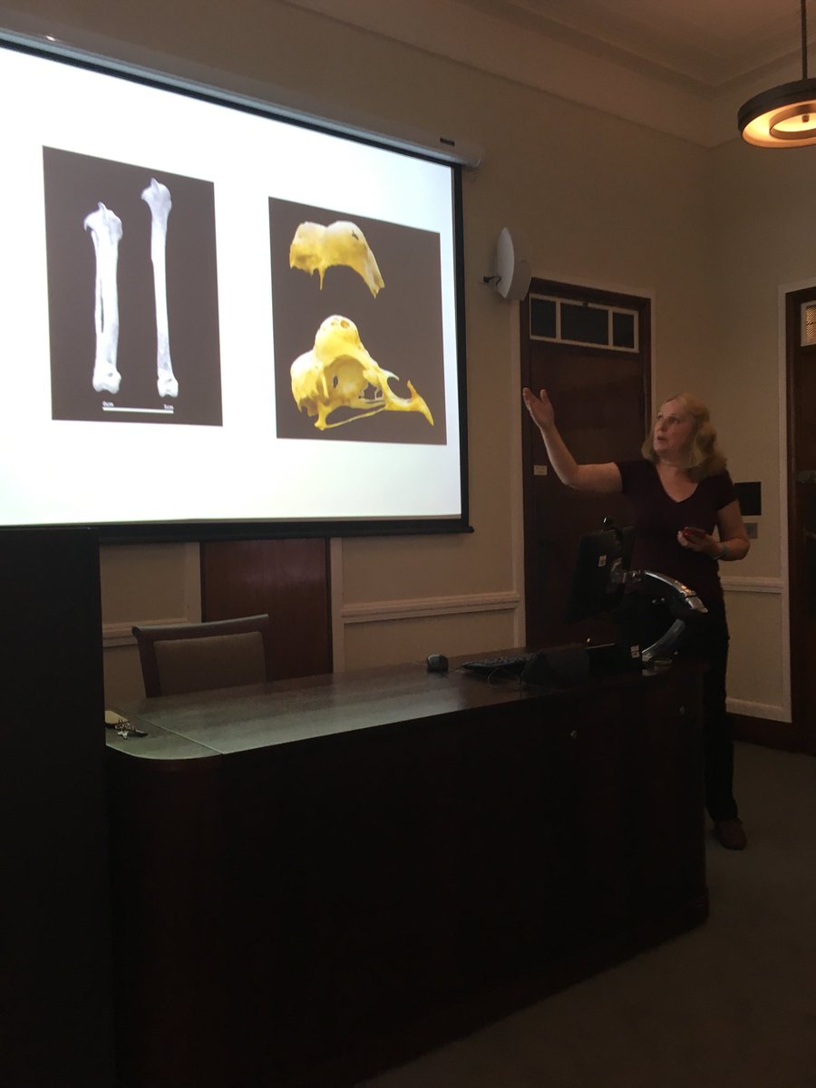 Chicken_project's tweet photo. What sort of breeds and ages of chickens do we find? How does this change through time? Alison foster reveals all. https://t.co/jnTaOwlwew