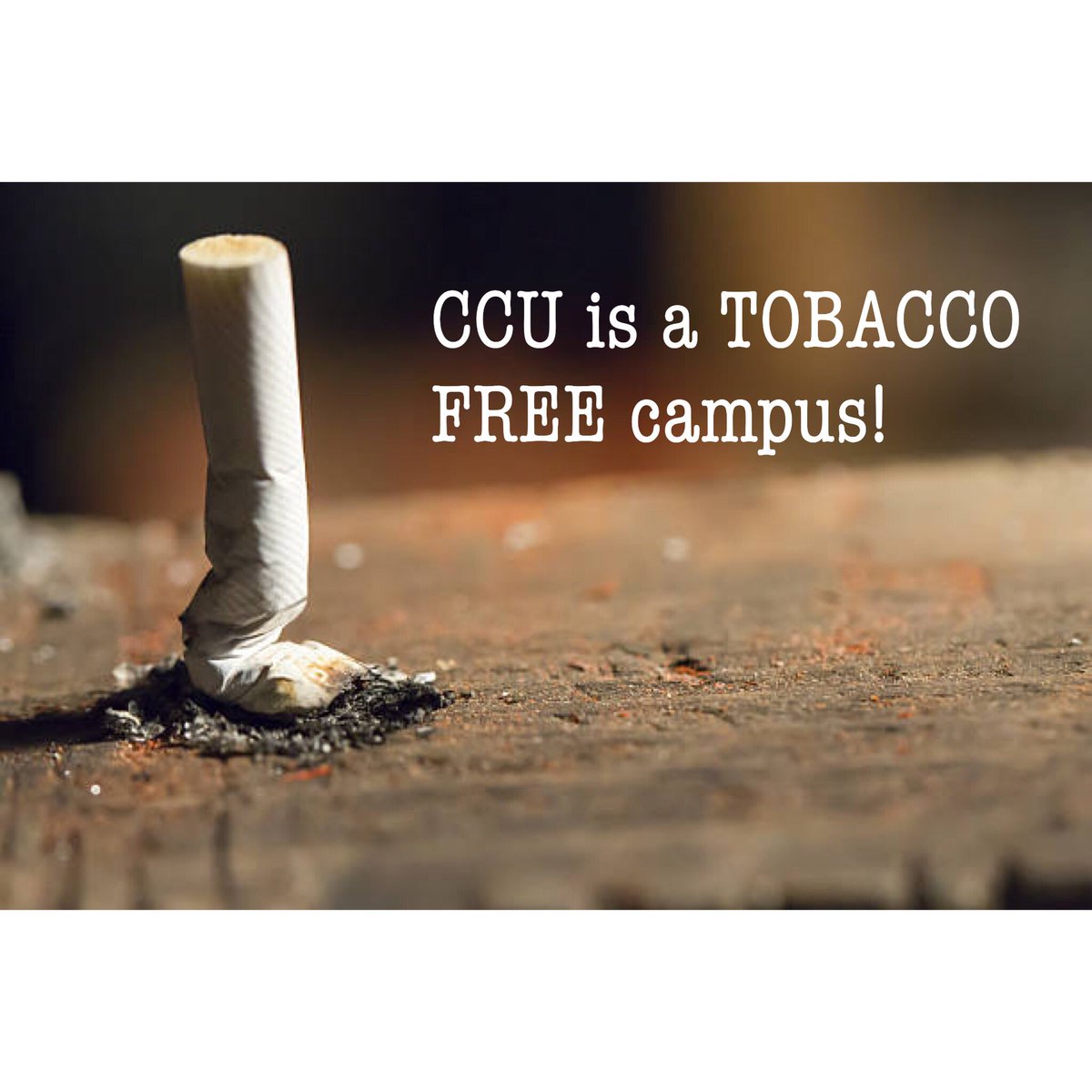 🚭 Keeping campus clean since 2014 🚭

#TobaccoTuesday #TobaccoFree #WallySays #ShellSquad #CCU