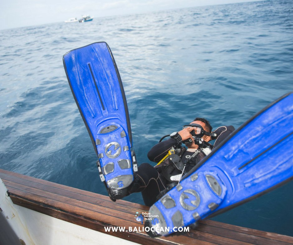 blueseasonbali's tweet photo. The back-roll entry is one of the best way to get in the water from the boat!
https://t.co/lOnHX29ddT
#blueseasonbali #scubadiving #nusapenida #backrollentry #balidiving #snorkeling #marinelife #underwater #bali https://t.co/6S2kQNqkeX