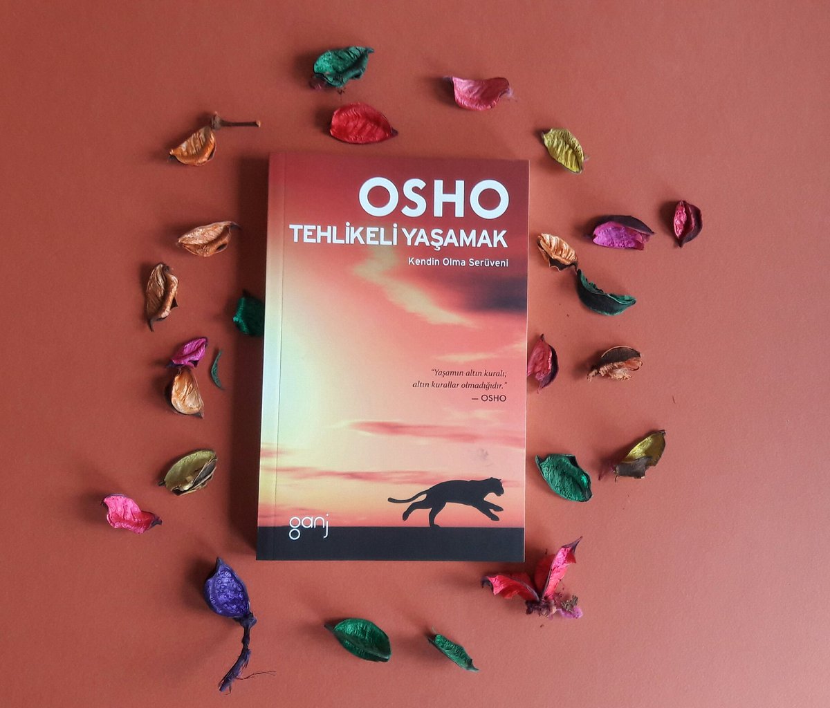 "Bilmeden, bileceksin. Gizem, gizemli olan, yaşamın şiiri, müzik ve dans… hepsi senin için mevcut hale gelecek."

#osho #ganjyayıncılık