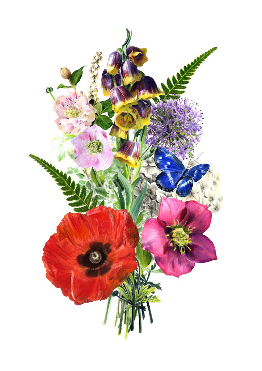 folioart's tweet photo. #FolioFeatured Let's all take a moment to appreciate @nabilnezzar  incredibly beautiful botanical artworks - from L-R: packaging for @BLOOMGin  , Pop-Up Card for Holland, and Artichokes because it's summer (for a little longer!) https://t.co/OMqM9VlzuU https://t.co/N1UqdmTudi