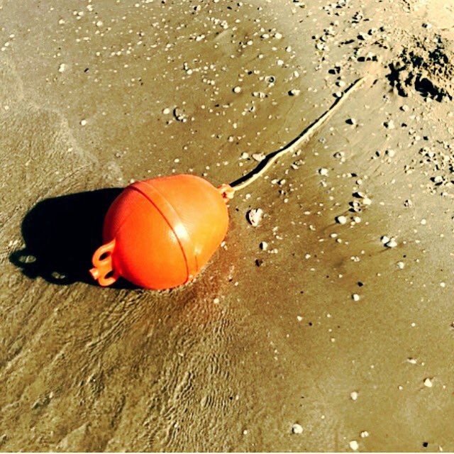 theduckinthetub's tweet photo. Summer details. #igersrimini #riminibeach #rimini2018 #romagna #igersemiliaromagna #emiliaromagna #loves_emiliaromagna #likes_emiliaromagna #viaggioinromagna #romagnatravel #summer #estate2018 #trip #viaggiaresempre #viaggiarechepassione #pic #picoftheday #theduckinthetub 🦆 https://t.co/wWU7XuYCfX