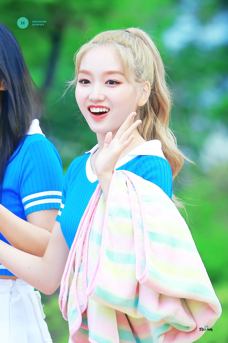 오늘의 채원 tweet media