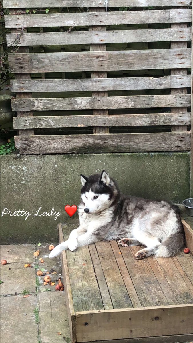 Mark Charles tweet media