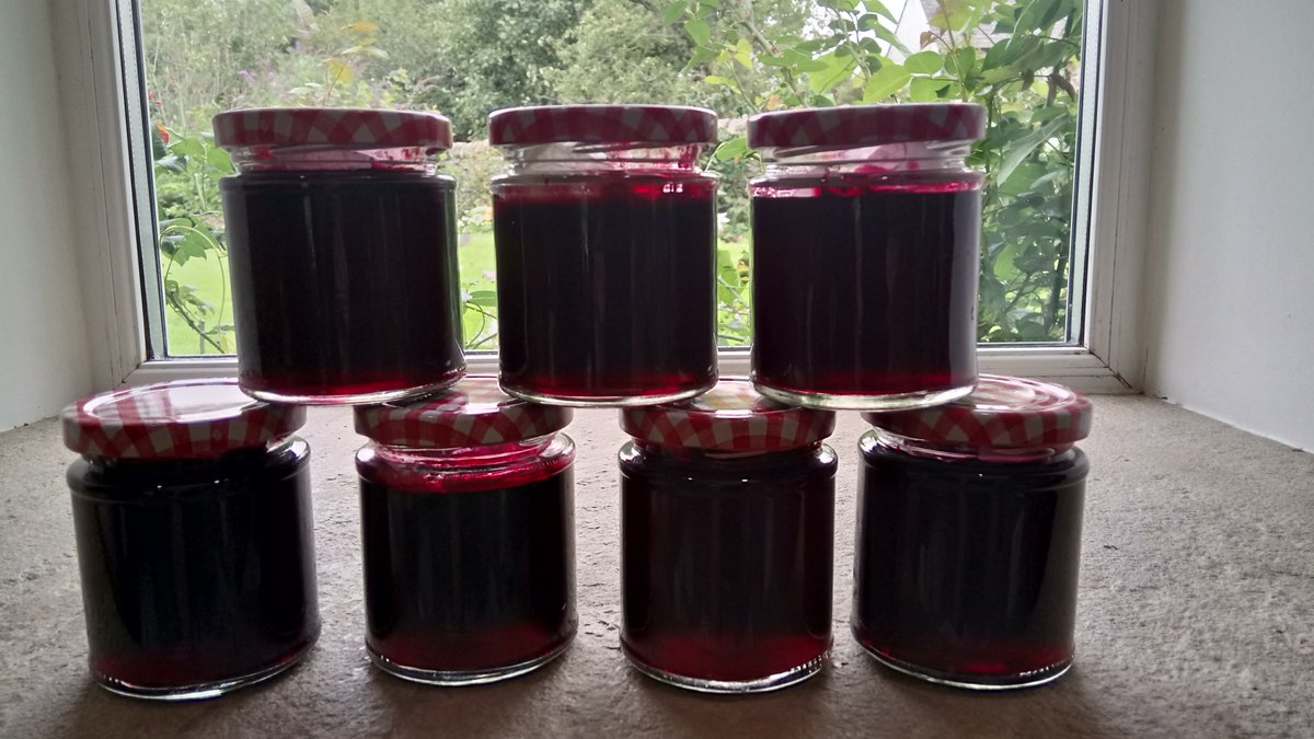 WoodsideLodge1's tweet photo. Making #bramblejelly for our guests from #foragedfruit. Perfect with #homebakedscones in our #welcomebasket.  @VisitNland @EliteCottages @uniqueHcottage @NorthPennAONB #northumberland #hexham #selfcatering @GreenTourismUK https://t.co/pjqzegLZ3H