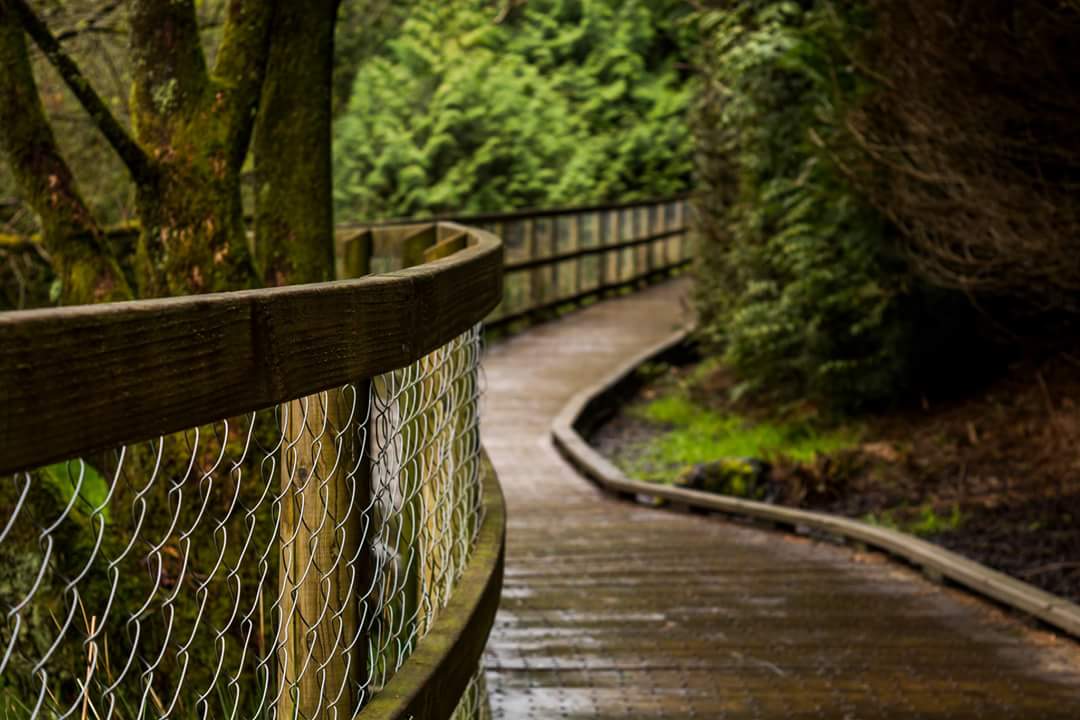 JCInsight's tweet photo. Why not take a gorgeous walk through #Glendalough in county #Wicklow some day? I myself have visited multiple times and intend to visit again in the future. Many people have been drawn to 'the valley of the two lakes' for it's scenery, history, archaeology and wildlife. #Travel https://t.co/vWtcsrlFKe