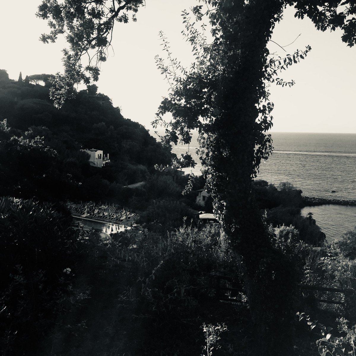 KateNetinho's tweet image. #blackandwhitechallenge accepted @ae_gunn!!! Thank god I’ll be in places worth capturing! (And don’t be surprised if I forget a couple of days) Day 1 of 7