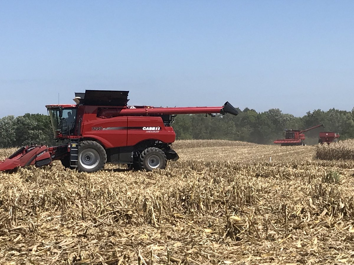 Beard_AFS's tweet photo. Couple more twin 7240’s making quick work of this corn. Good corn comming out at 21.6 moisture. The time is defiantly here. #Harvest2018 https://t.co/RM1AuY6YFR