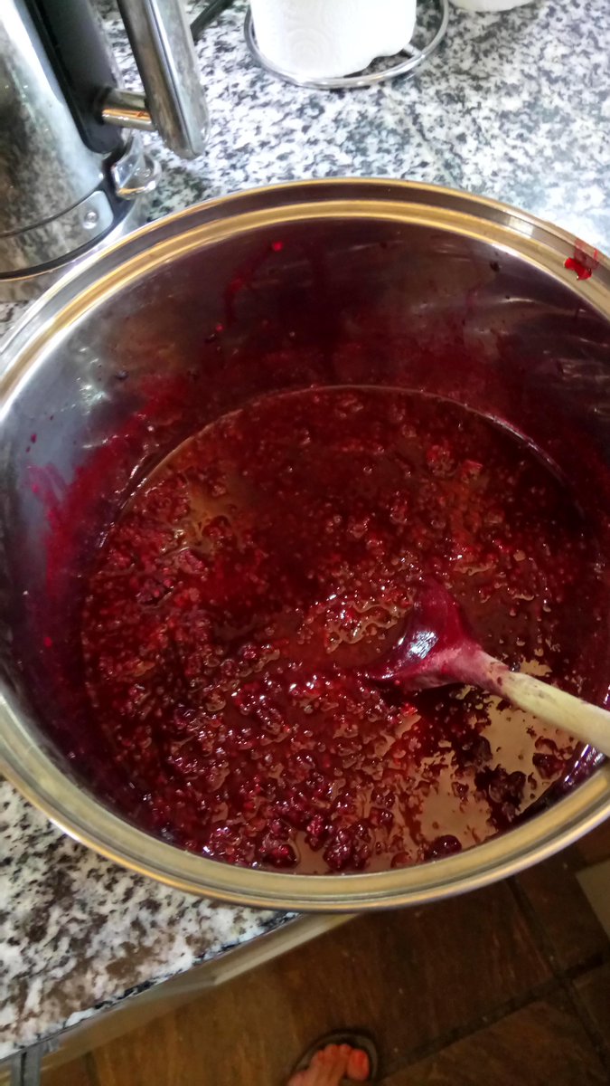 WoodsideLodge1's tweet photo. Making #bramblejelly for our guests from #foragedfruit. Perfect with #homebakedscones in our #welcomebasket.  @VisitNland @EliteCottages @uniqueHcottage @NorthPennAONB #northumberland #hexham #selfcatering @GreenTourismUK https://t.co/pjqzegLZ3H