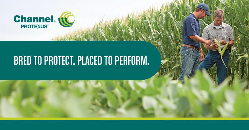 Introducing: Channel® Protexus™ corn. Bred to provide disease tolerance, with enhanced protection against the five most devastating corn diseases. learn.ag/2Pfec67