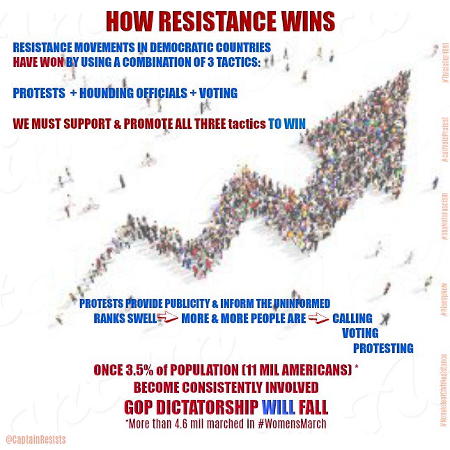 CaptainResists's tweet photo. Successful #Resistance mvmts in democratic countries succeeded by utilizing:
💥Pressure on officials
💥Nonviolent Civil Resistance 
💥Voting
We must expand our #Resistance base

Activism &amp; Protest is most effective way to do this 💥

#PromoteProtesters

https://t.co/G8vSlYRp2a https://t.co/fBKWBuD5mt