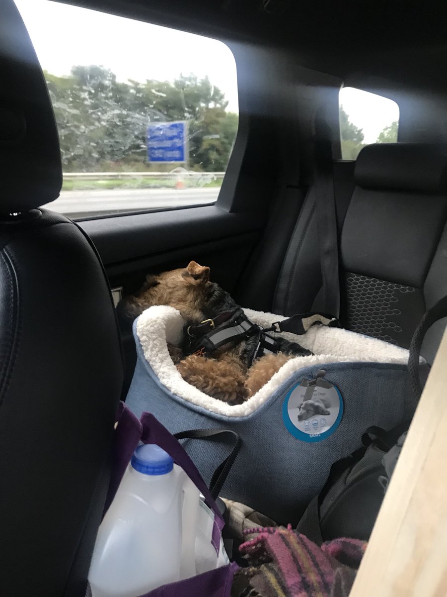 ChukkaBennett's tweet photo. Fer wooofs sake.... are we still driving!? #M6hell https://t.co/81GhewYmtr