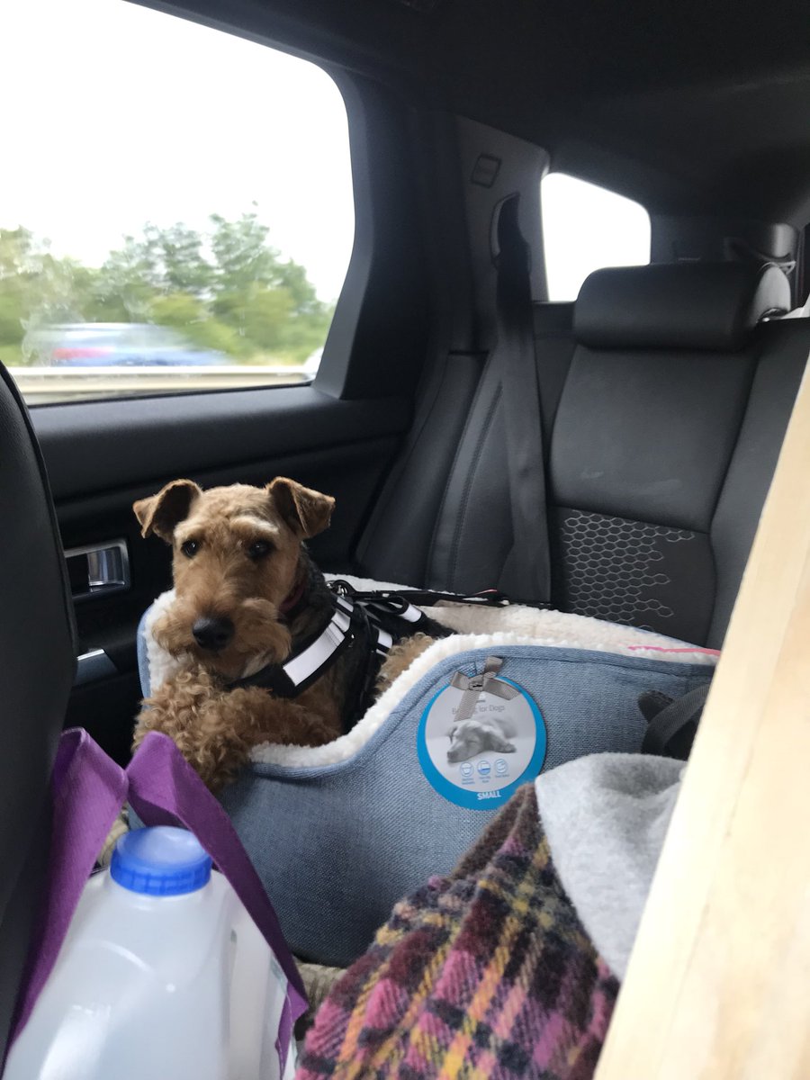 ChukkaBennett's tweet photo. Fer wooofs sake.... are we still driving!? #M6hell https://t.co/81GhewYmtr
