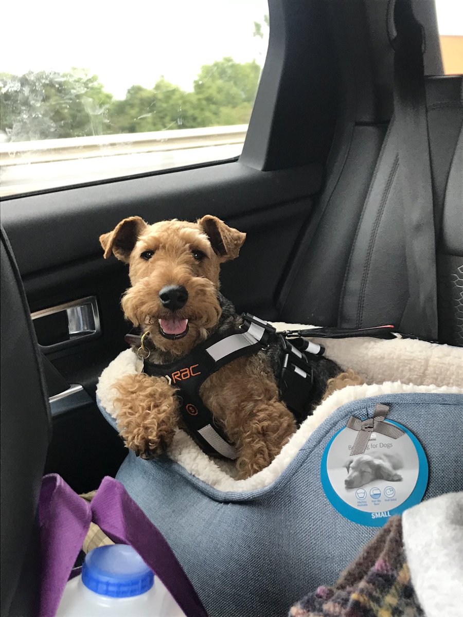 ChukkaBennett's tweet photo. Fer wooofs sake.... are we still driving!? #M6hell https://t.co/81GhewYmtr