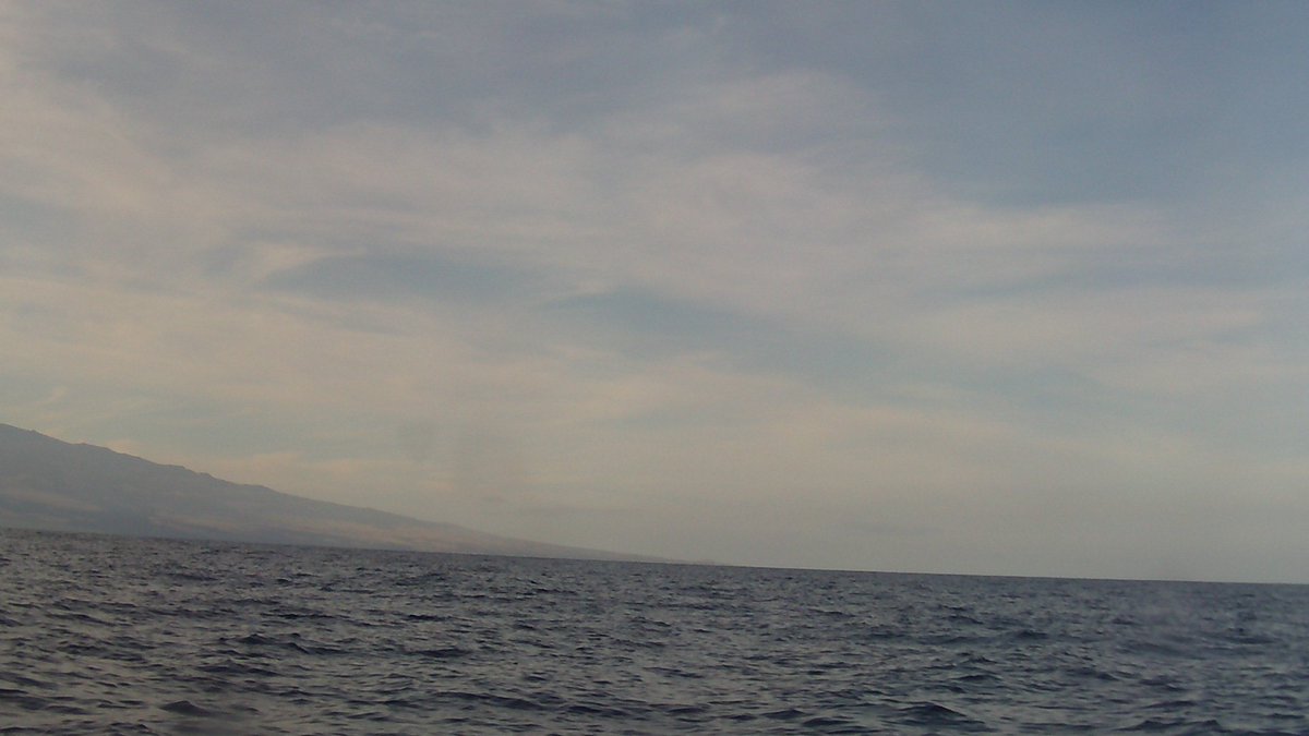 I just took a picture! #aloha #drone #hawaii #java #robotics