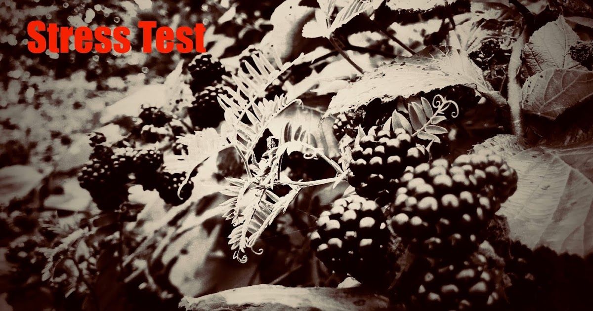 MrAlCoates's tweet image. Reflections on Adopter assessments
#adoptioniscoming 

buff.ly/2wmL0m3