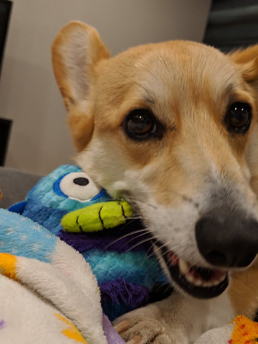 's tweet image. You know I got this Nicole.