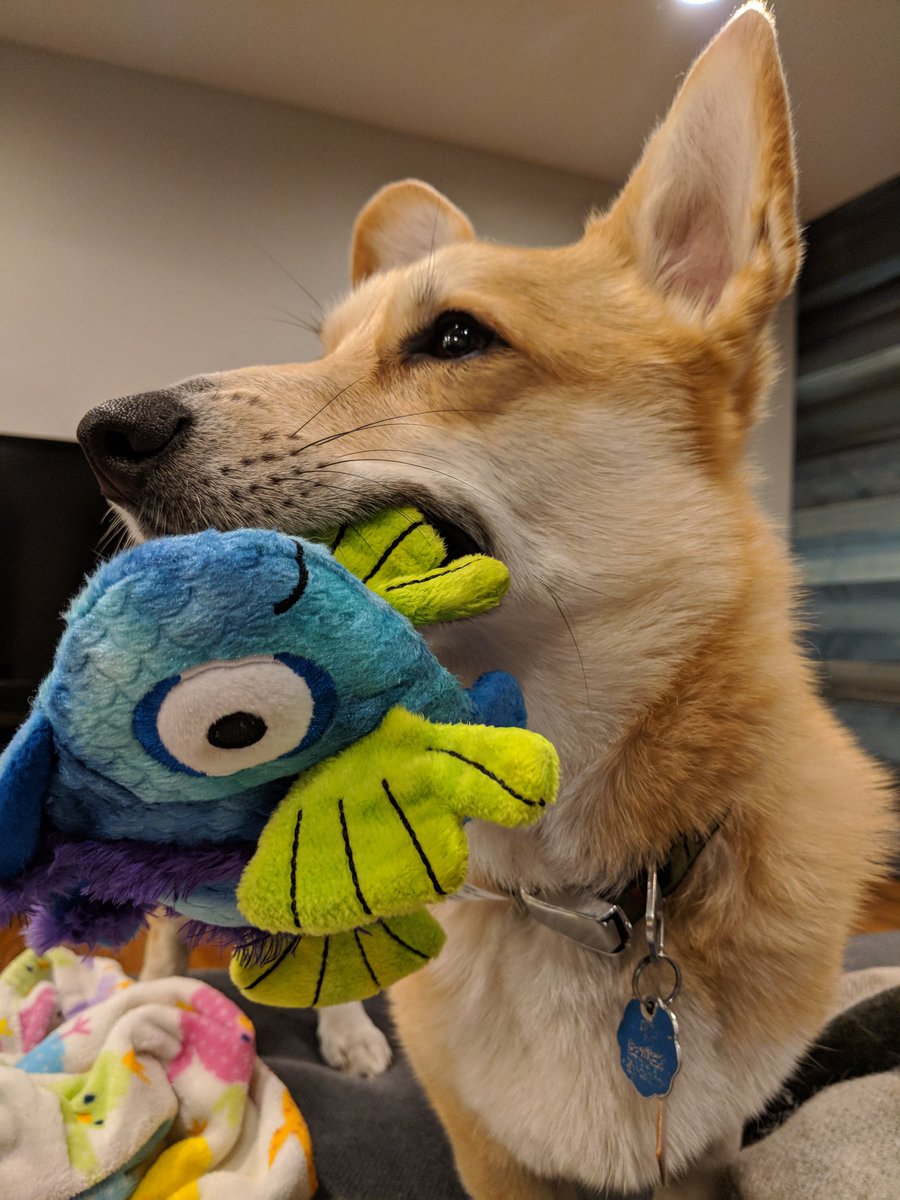 's tweet image. You know I got this Nicole.