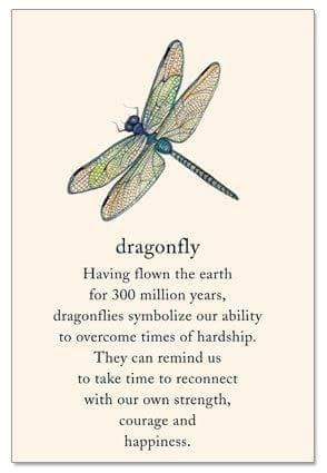 Biela25's tweet photo. Good morning everyone! Dragonflies are beautiful but I didn't realize their strength and endurance. Hope you have both this Tuesday! https://t.co/zdSRclW25g