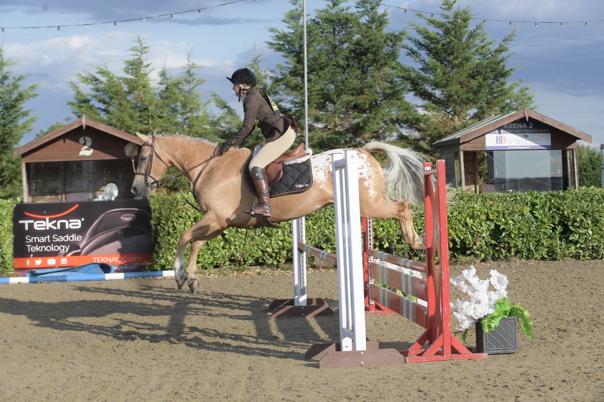 tekna_uk's tweet photo. Mr Bits completed his first BE90 @Keysoe on Saturday. Double clear! @britisheventing @USGsport #usgprotection #teknasaddles https://t.co/MRiPjlNO1p