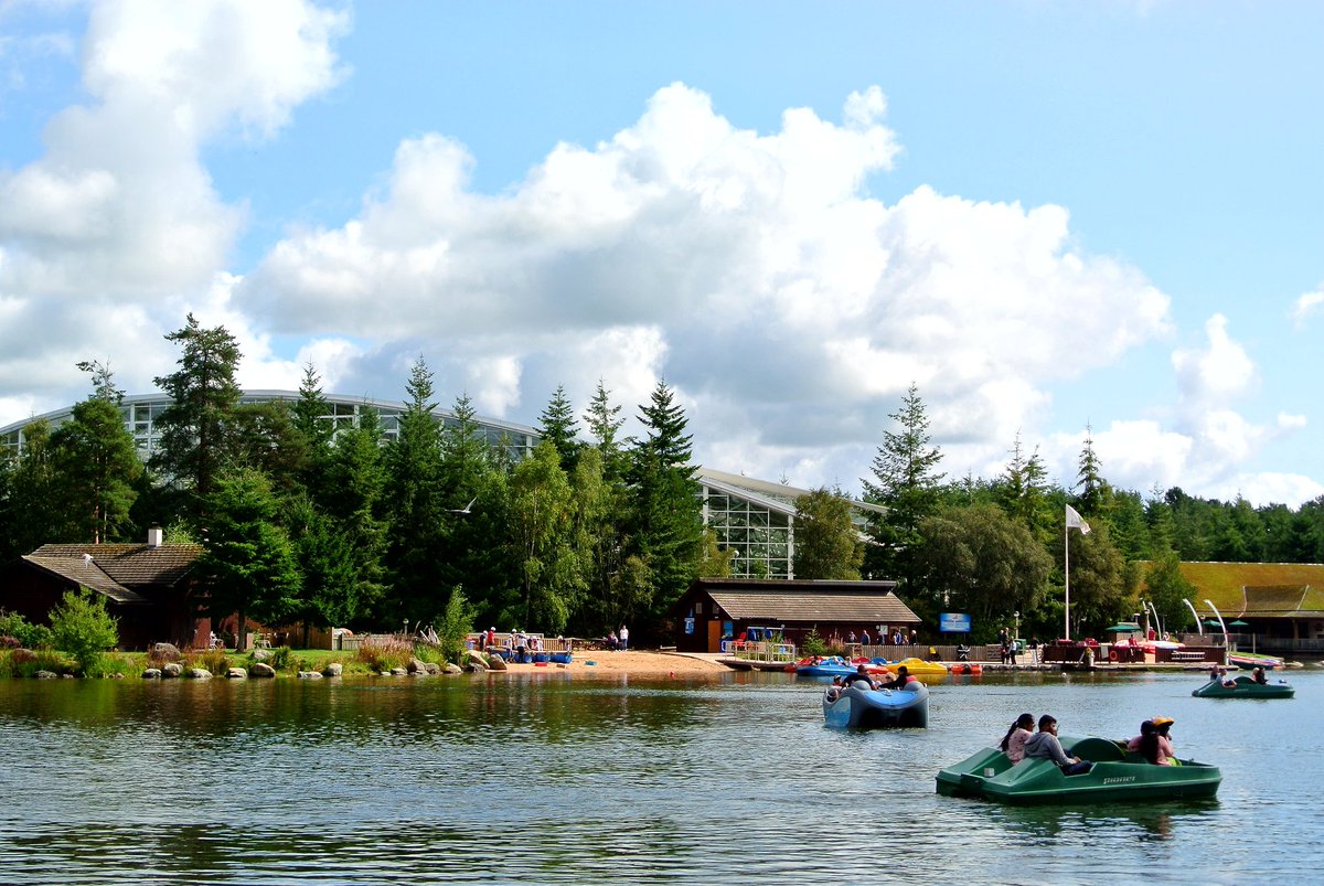 Dave Tonge tweet media