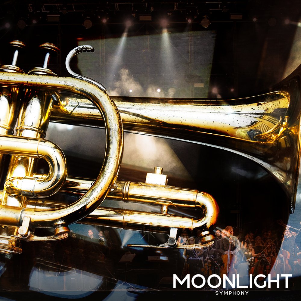 Moonlight Symphony tweet media