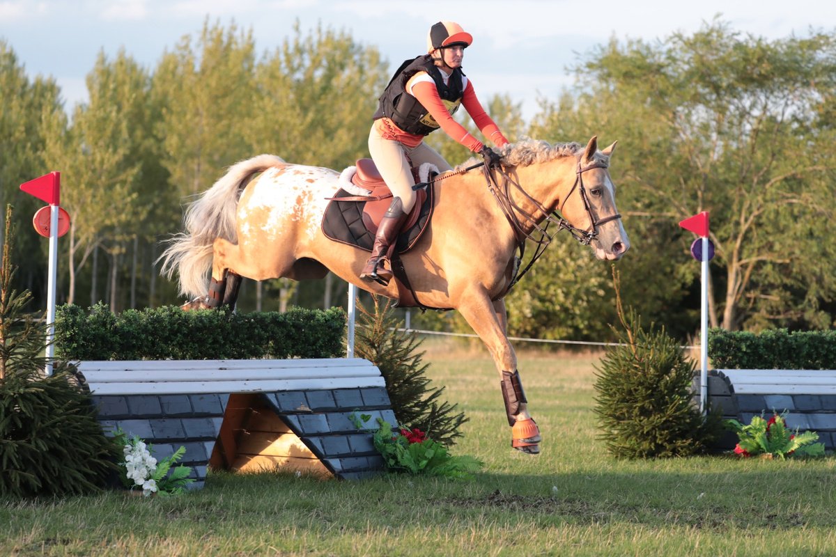 tekna_uk's tweet photo. Mr Bits completed his first BE90 @Keysoe on Saturday. Double clear! @britisheventing @USGsport #usgprotection #teknasaddles https://t.co/MRiPjlNO1p