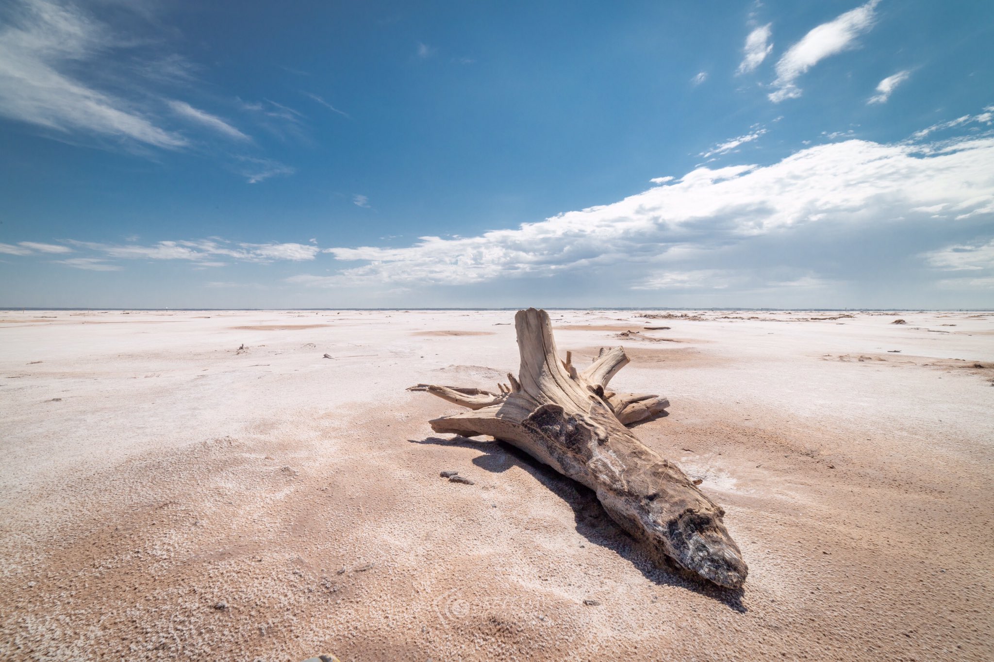 DlsDSHGU4AEJi1X?format=jpg&name=large