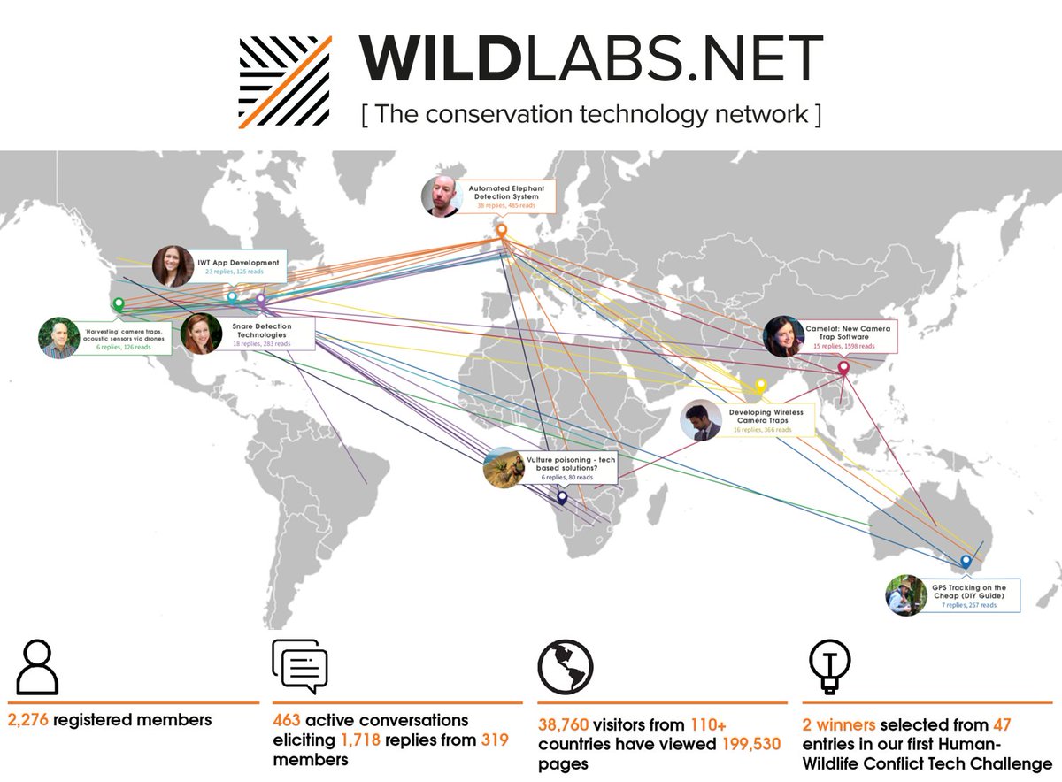 online optical fiber