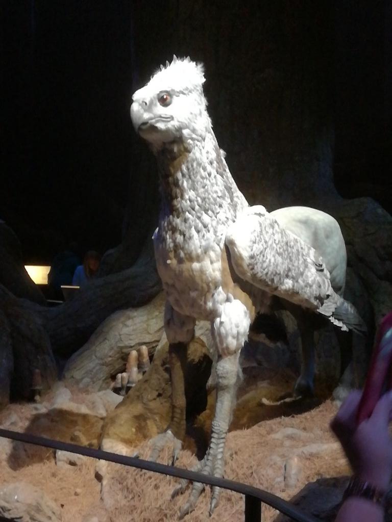 Warwick House kids (@warwick_kids) on Twitter photo 